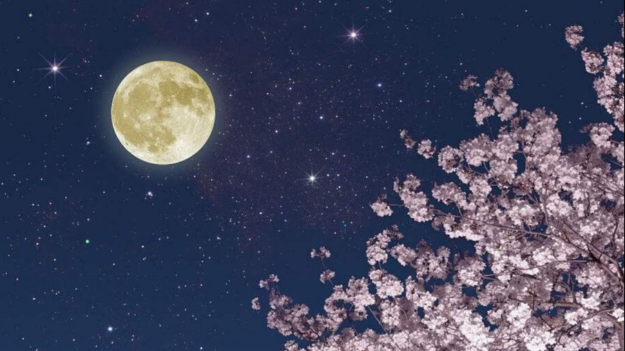失恋了睡不着还是想着他,就把这首诗发给他,或许还有一线转机